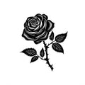 Black Rose - Traditional