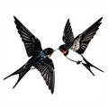 Swallow Dance - Minimalism